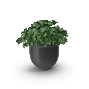Elegant Shockproof Plant Pot | BEST CHOICE | for Car