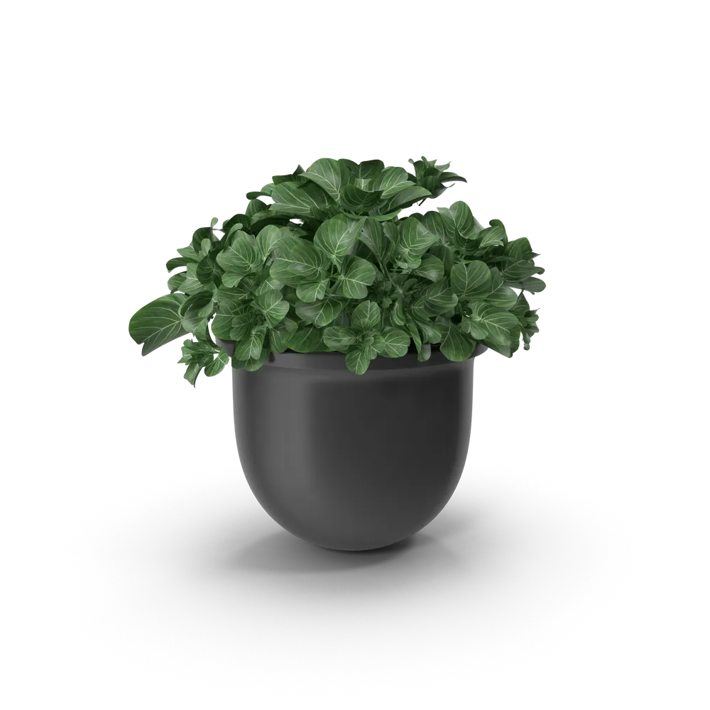 Electric Suede Massage Ball by TRIDEER